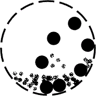 Ͳ�w��(n��i)���|(zh��)���\�D(zhu��n)